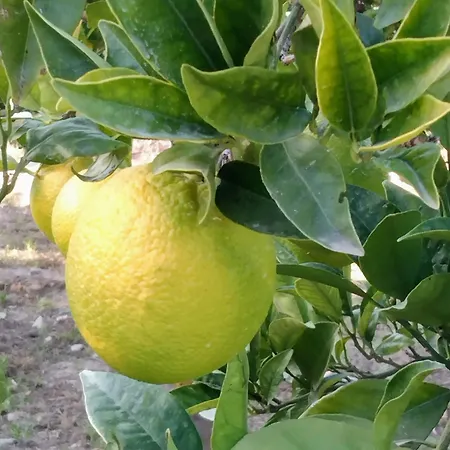 La Granadilla