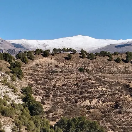 Bed and Breakfast La Granadilla