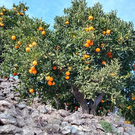 La Granadilla Bed and Breakfast