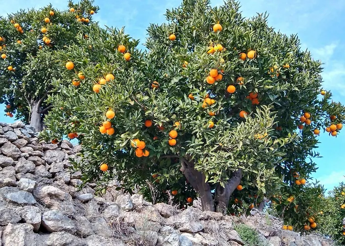 La Granadilla Bed and Breakfast