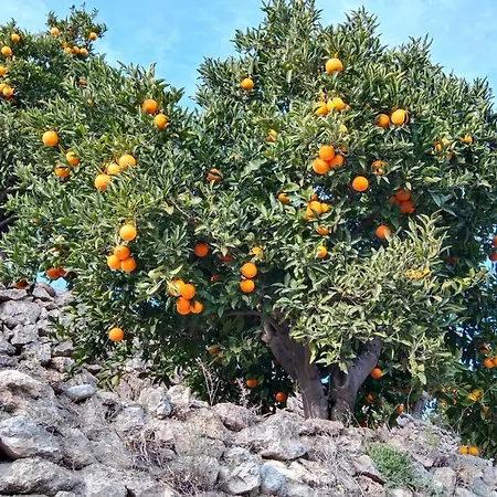 La Granadilla Alojamento de Acomodação e Pequeno-almoço